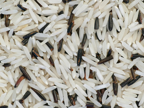 Фото з відкритих джерел