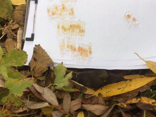 В Кривом Роге задержали местного жителя с партией метамфетамина (фото)