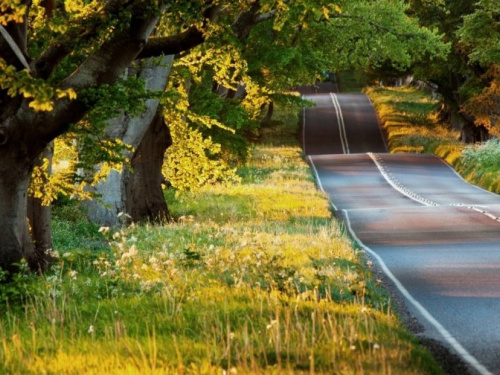 В Кривом Роге продолжаются ремонтные работы на дорогах (ФОТОФАКТ)