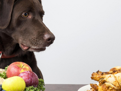 Фото з відкритих джерел