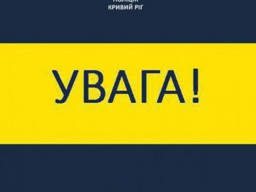 Полиция разыскивает свидетелей ДТП в Металлургическом районе Кривого Рога (ФОТО)