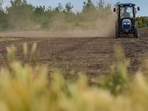 Ґрунт пересихає: на Дніпропетровщині аграріям бракувало вологи для сівби озимих