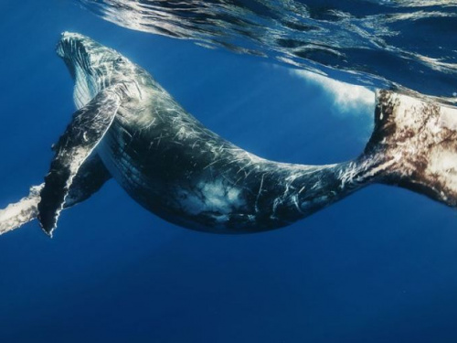 Фото із мережі Інтернет