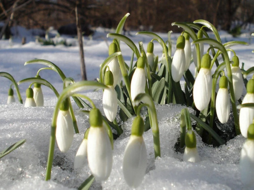 Сухо, ясно і слизько: детальний прогноз погоди по регіонах - фото з відкритих джерел
