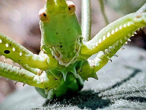 Фото Світлани Кияк