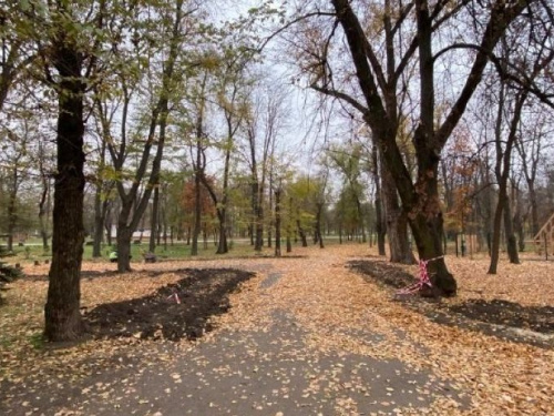 Фото: БФ "Громадська ініціатива мешканців Кривбасу"