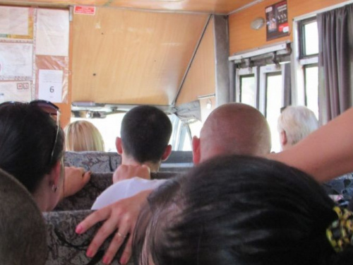 В Кривом Роге появится новая маршрутная сеть: что изменится для пассажиров (карта)