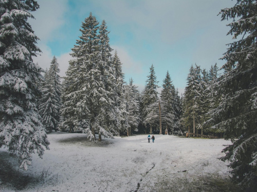 Погода на вікенд - фото ілюстративне з відкритих джерел  