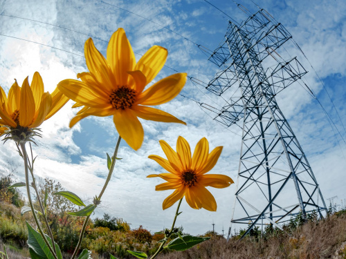 фото пресслужби ДТЕК