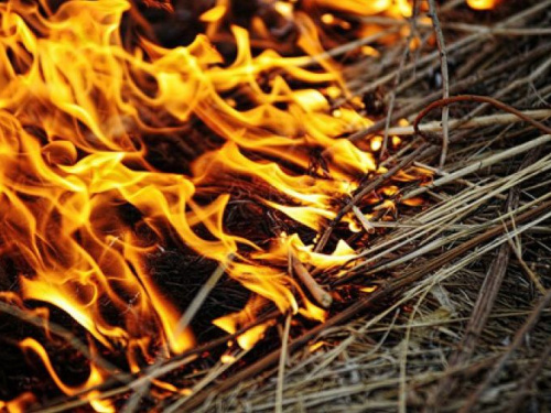 Жителей Кривого Рога предупреждают о высокой пожарной опасности