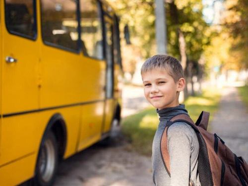 Шкільні автобуси, фото ілюстративне 