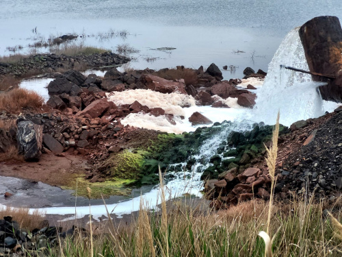 Фото Євгена Ситниченка 