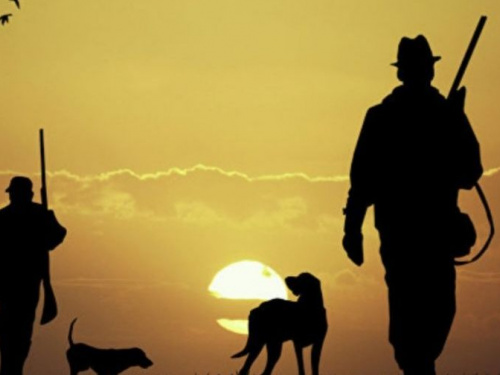 Сезон охоты на Днепропетровщине начинается: что должен знать охотник