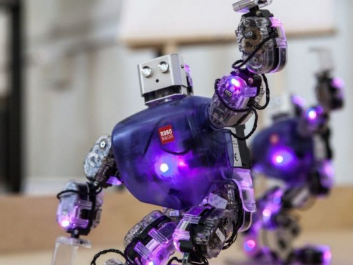 В Кривом Роге состоялись зрелищные бои роботов (фото)