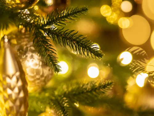 Як обрати кольори, що подобаються Вогняному Коню - фото з відкритих джерел