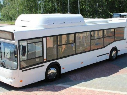 Транспортный эксперт назвал недостатки автобусов, которые собирается закупить Кривой Рог