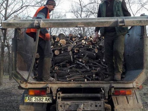 В Кривом Роге за год высадили почти полторы тысячи деревьев