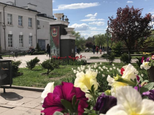 ТОП-новости Кривого Рога: визит будущего президента, новое освещение, выделение бесплатных земельных участков