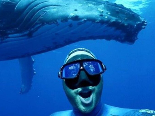 Дайвер снял ролик с горбатым китом (ФОТО+ВИДЕО)