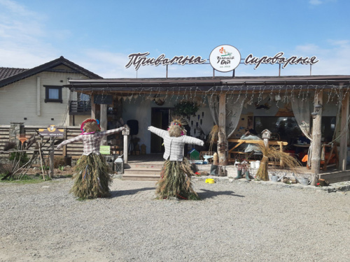 Ферма, що повертає до життя: ветеранське подружжя з Дніпропетровщини створили простір реабілітації