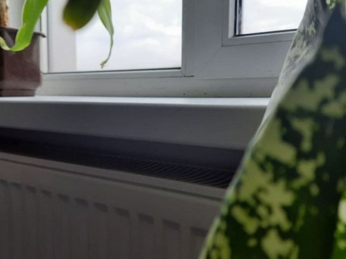 Фото редакції krivbass.city 