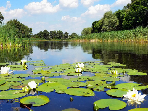 Погода на тиждень - фото ілюстративне з відкритих джерел 