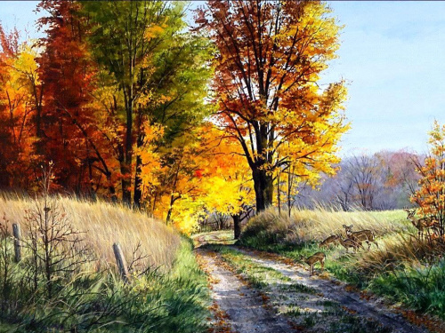 Фото з відкритих джерел      