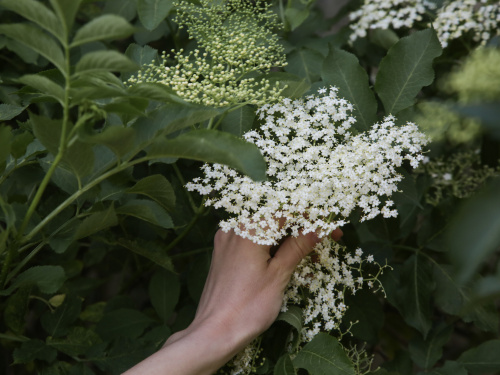 Фото з відкритих джерел