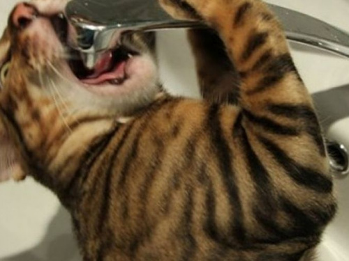 В Кривом Роге временно отключат подачу воды: адреса