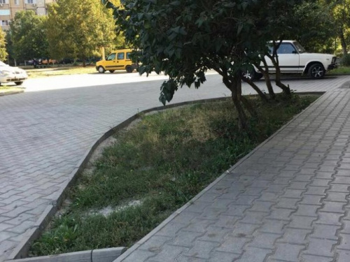 В нынешнем году в рамках проекта «Криворожский дворик» обновят 10 придомовых территорий (ФОТО)