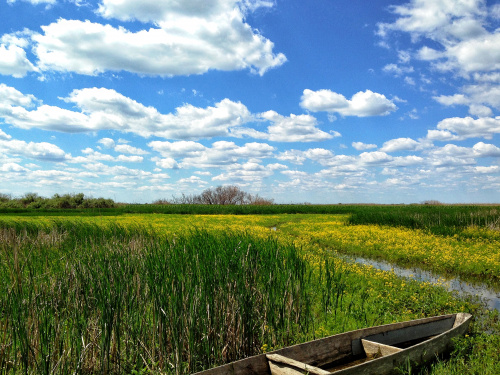 Погодна тиждень - фото ілюстративне з відкритих 