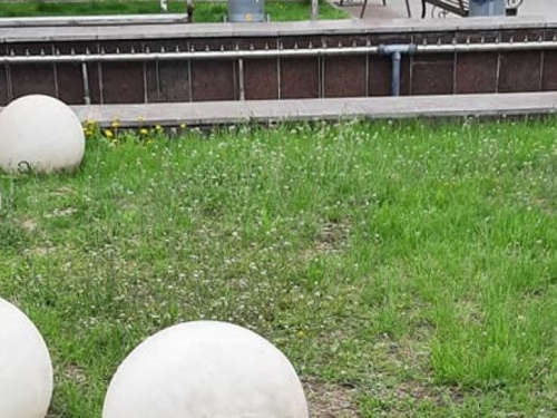 Фото со страницы Сергея Логвинова