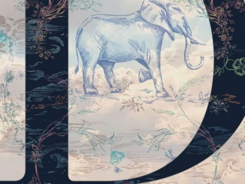 Фото з мережі Інтернет