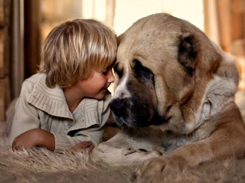 Фото із мережі інтернет