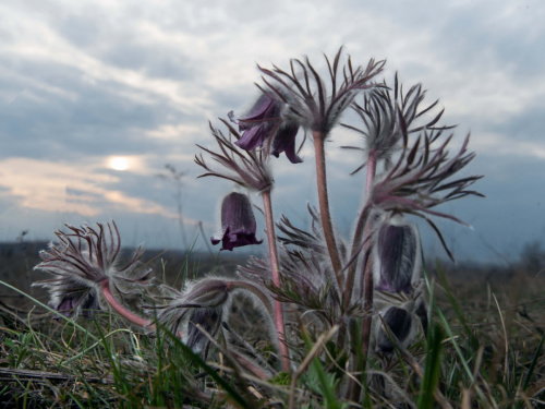 Похолодання в квітні - фото ілюстративне з відкритих 