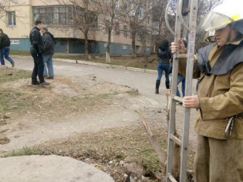 Спасение четырехлапого: в Кривом Роге вызволили щенка (видео)