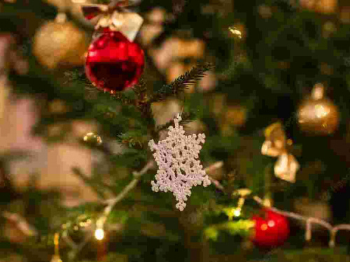 Догляд за живою ялинкою: перевірені лайфхаки - фото з відкритих джерел