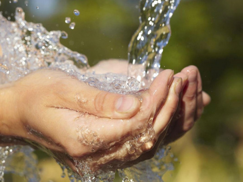 Фото з відкритих джерел