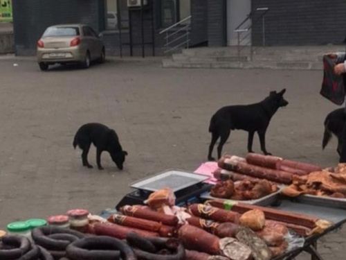 В Кривом Роге продолжается борьба со стихийной торговлей (фото)