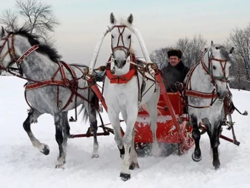 Веселощі та обряди Масниці 2026: що варто знати - фото з відкритих джерел