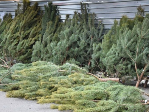 Фото із мережі Інтернет