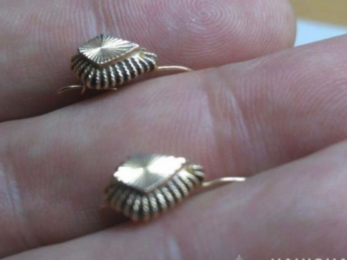 В Кривом Роге на улице двое мужчин сорвали с женщины золотые сережки