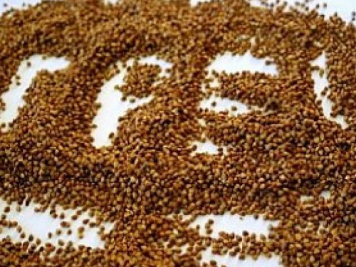 В Кривом Роге зафиксировали преждевременное начало избирательной кампании