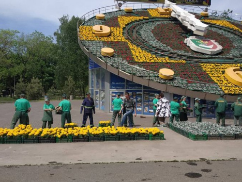 Часы-патриоты: в Кривом Роге ко Дню вышиванки украсили Цветочные часы (фото)