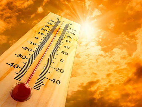 Фото з відкритих джерел