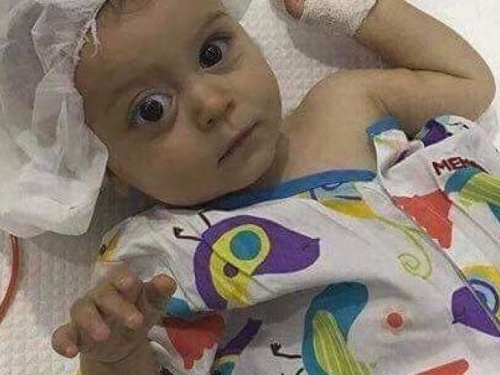 Неравнодушных просят откликнуться: нужна помощь для лечения маленькой криворожанки (ФОТО)