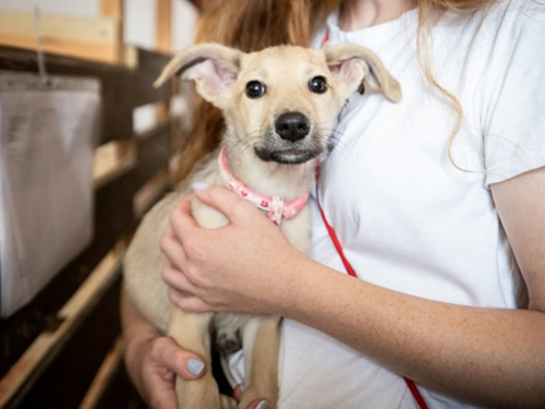 Життя з хронічною хворобою - фото з відкритих джерел