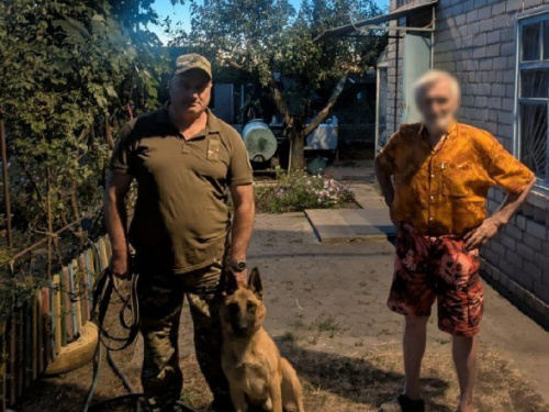 Чотирилапий детектив Криворіжжя: вівчарка Бадді допомогла поліцейським знайти зниклого дідуся