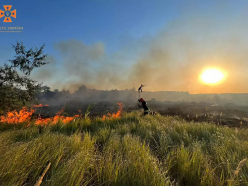 в екосистемах Дніпропетровщини сталося майже 2 тисячі пожеж