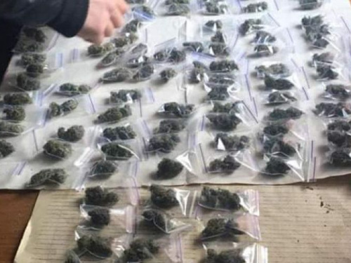 Криворожские правоохранители изъяли марихуаны на 250 тысяч гривен (ФОТО)